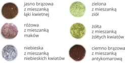 Bee Bomba zestaw w etui / Naturalny TIP23
