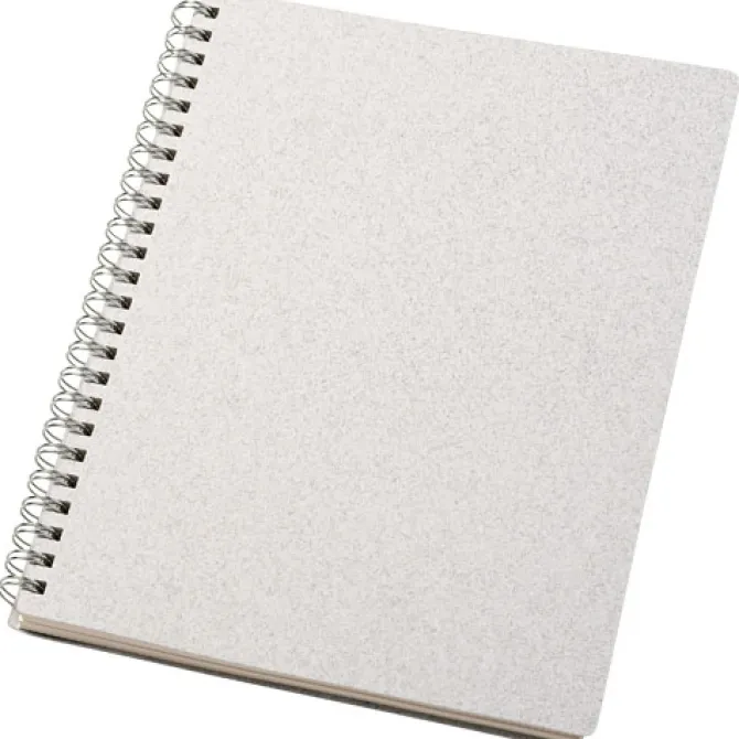 Bianco kołozeszyt w formacie A5 / Biały 10771901