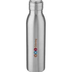 Bidon ze stali nierdzewnej Harper o pojemności 700 ml z metalową pętelką / Srebrny 10067881