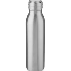 Bidon ze stali nierdzewnej Harper o pojemności 700 ml z metalową pętelką / Srebrny 10067881