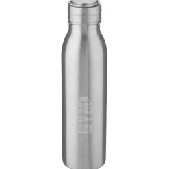 Bidon ze stali nierdzewnej Harper o pojemności 700 ml z metalową pętelką / Srebrny 10067881