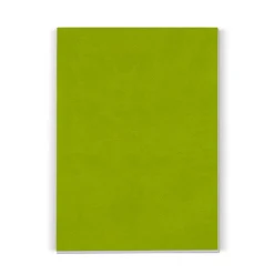 Bloczek do notowania z papieru z recyklingu, 150 kartek / Zielony LT92525-N0031