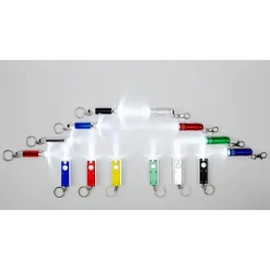 Brelok do kluczy, lampka LED / Srebrny V5455-32/A