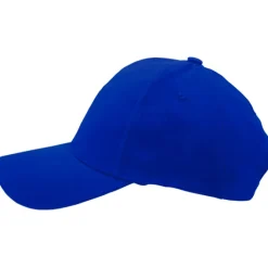 Czapka 6 paneli, z bawełny / Flinn / Royal blue IP38041664
