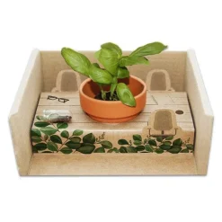 Diorama z nasionami / Naturalny TIP30