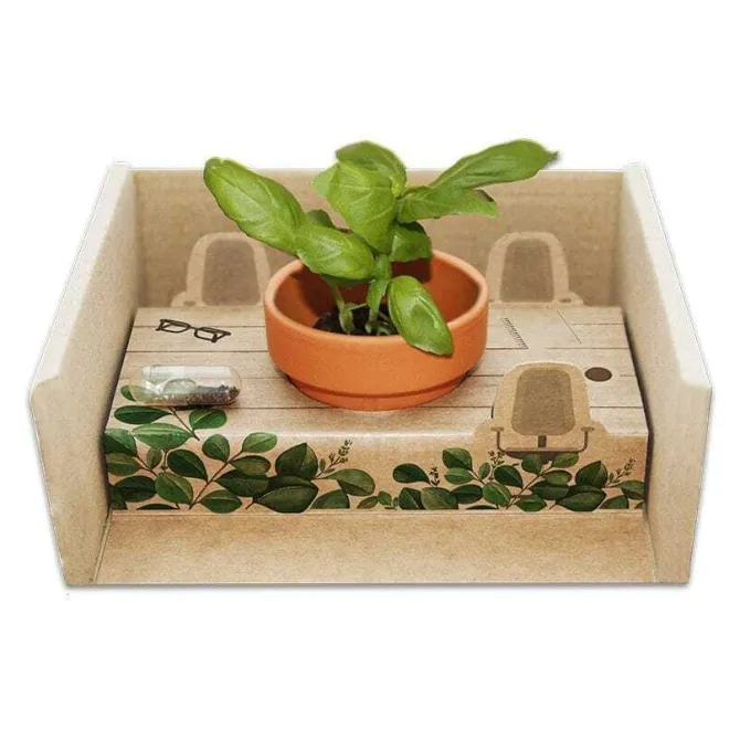 Diorama z nasionami / Naturalny TIP30