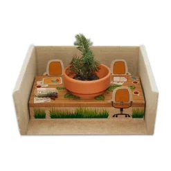 Diorama z nasionami / Naturalny TIP30
