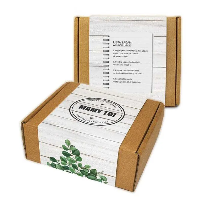 Diorama z nasionami / Naturalny TIP30