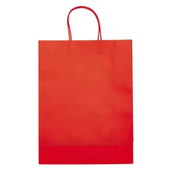 Duża Papierowa Torba Eco 120g/m² / Czerwony LT91718-N0021