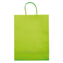 Duża Papierowa Torba Eco 120g/m² / Jasnozielony LT91718-N0032