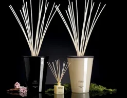 Dyfuzor Premium Reed 3l Amber and Sandalwood CERERIA MOLLA / - B3CM-7702