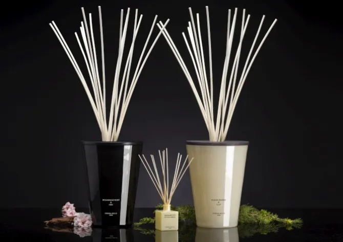 Dyfuzor Premium Reed 3l Black Orchid andLilly CERERIA MOLLA / Beż B3CM-7704