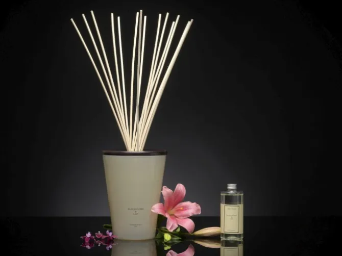 Dyfuzor Premium Reed 3l Black Orchid andLilly CERERIA MOLLA / Beż B3CM-7704