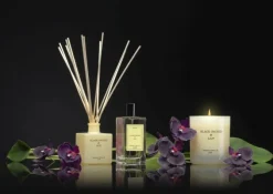 Dyfuzor Premium Reed 100ml Black Orchid CERERIA MOLLA / Beż  B3CM-1323