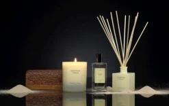Dyfuzor Premium Reed 100ml Moroccan Cedar CERERIA MOLLA / Beż  B3CM-1325