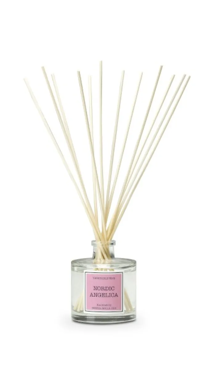 Dyfuzor Santiago Reed 100ml Nordic angelic CERERIA MOLLA / - B3CM-15503