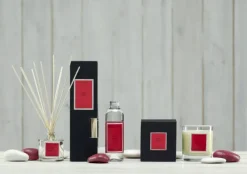 Dyfuzor Santiago Reed 100ml Red fruits CERERIA MOLLA / - B3CM-15501
