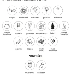 Ekologiczny zestaw biurowy / Naturalny TIP24