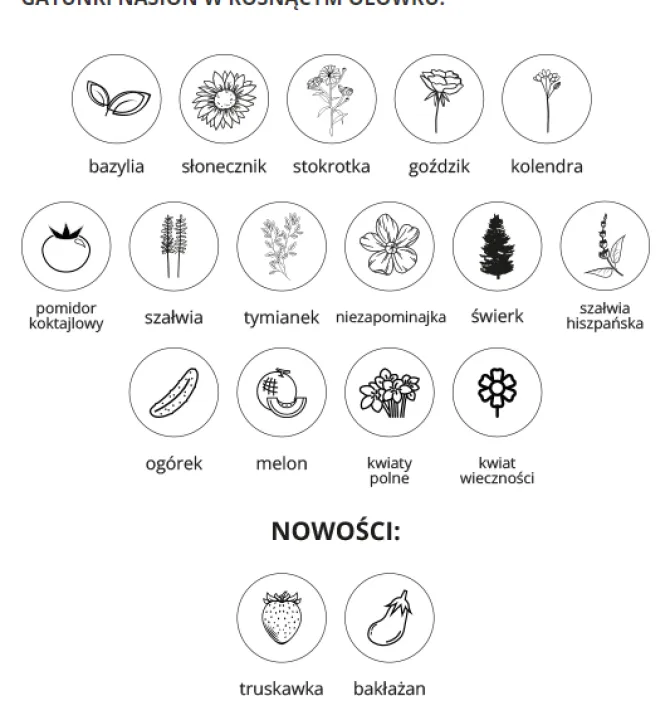 Ekologiczny zestaw biurowy / Naturalny TIP24