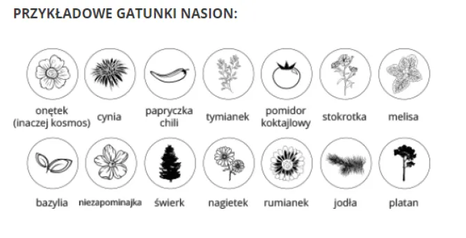 Ekosaszetka / Naturalny TIP17