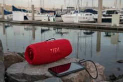 Głośnik przenośny JBL Charge 5 / Szary JBLCHRG5_GR
