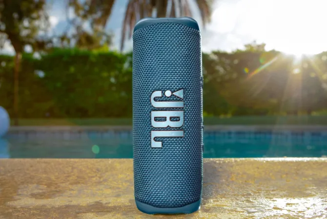 Głośnik przenośny JBL Flip 6 / Szary JBLFLP6_GR