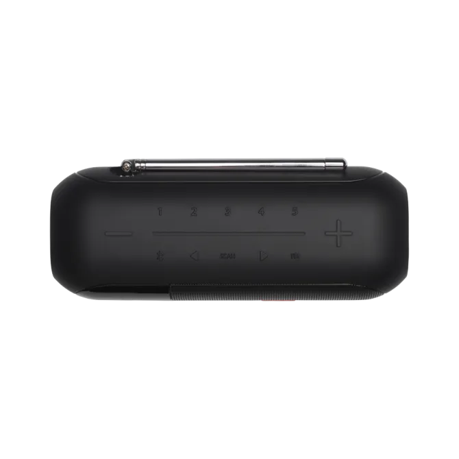 Głośnik przenośny JBL Tuner 2 / Czarny JBLTNR2_BL