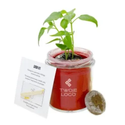 Grow Kit Szklany / Barwiony kwarc TIP06