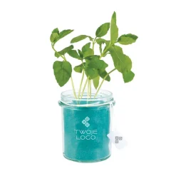 Grow Kit Szklany / Barwiony kwarc TIP06