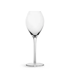 Kieliszek do szampana SAGA GLASS 20CL 2-szt, transparentny / Default 5018264-