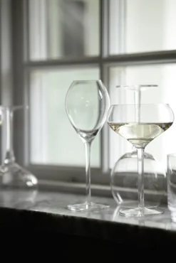 Kieliszek do szampana SAGA GLASS 20CL 2-szt, transparentny / Default 5018264-