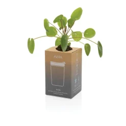 Kubek termiczny 300 ml Avira Alya / Niebieski P438.020