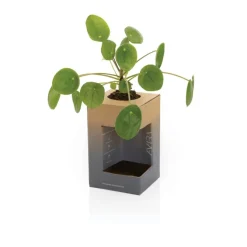 Kubek termiczny 300 ml Avira Alya / Niebieski P438.020
