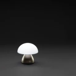 Lampka na biurko Luming, plastik z recyklingu / Brązowy P513.749