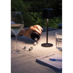 Lampka na biurko Zenic / Czarny P513.9701