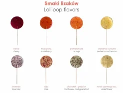Lizak owocowy LogoPop Plus / Wielokolorowy S0161