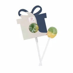 Lizak owocowy Lolly Ball Koło / Wielokolorwy S0453A
