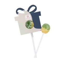 Lizak owocowy Lolly Ball Koło / Wielokolorwy S0453B