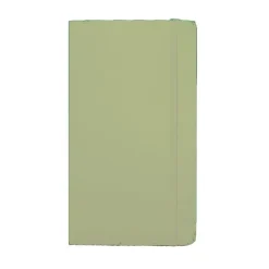 MOLESKINE Notatnik ok. A6 / Jasnozielony VM202-10