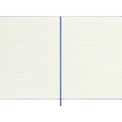 MOLESKINE Notatnik ok. B5 / Niebieski VM404-11