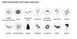 Natura Trójpak / Naturalny TIP04