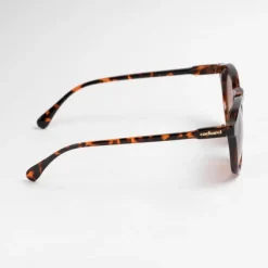 Okulary przeciwsłoneczne Alesia Brown / Brązowy CGS218Y