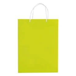 Papierowa torba duża / Jasnozielony LT91513-N0032