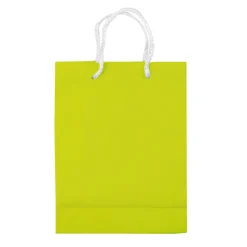 Papierowa torba mała / Jasnozielony LT91511-N0032