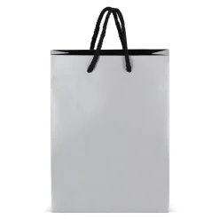 Papierowa torba prezentowa 18 x 8 x 24 cm 200 g/m² / Srebrny LT91515-N0005