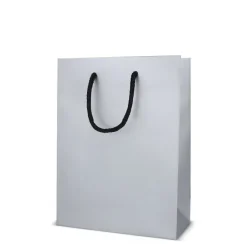 Papierowa torba prezentowa 18 x 8 x 24 cm 200 g/m² / Srebrny LT91515-N0005