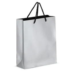 Papierowa torba prezentowa 24 x 10 x 30 cm 200 g/m² / Srebrny LT91516-N0005