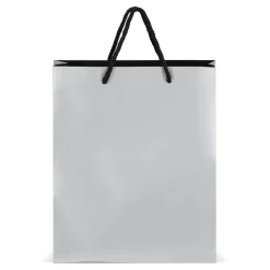 Papierowa torba prezentowa 24 x 10 x 30 cm 200 g/m² / Srebrny LT91516-N0005