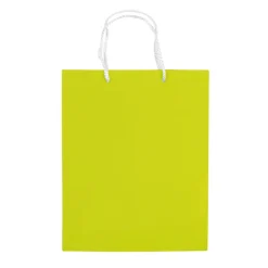 Papierowa torba średnia / Jasnozielony LT91512-N0032