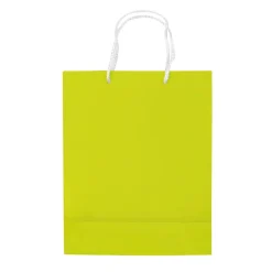 Papierowa torba średnia / Jasnozielony LT91512-N0032